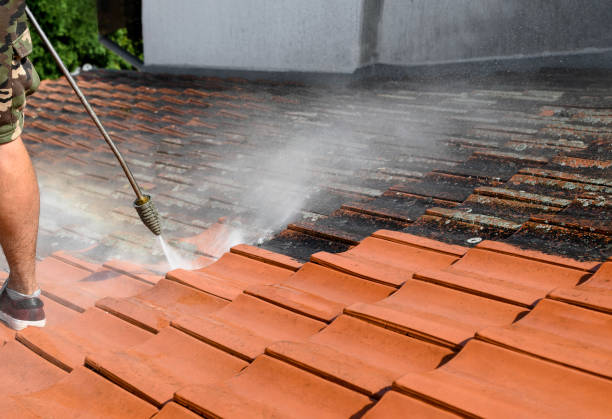 Best Pressure Washing Company Near Me  in Venus, TX